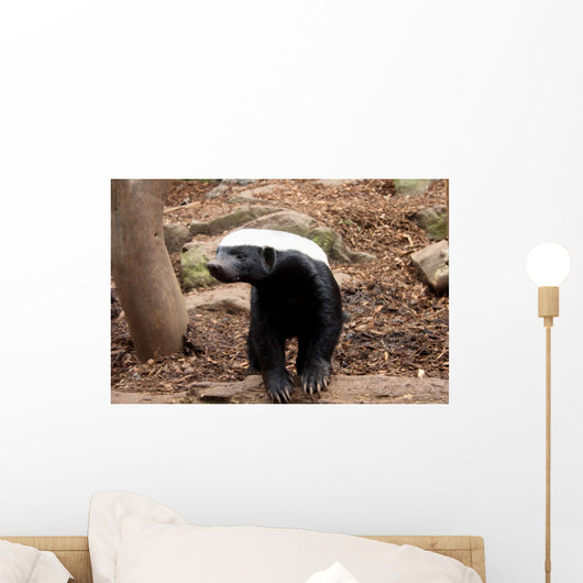 Honey Badger Wall Decal