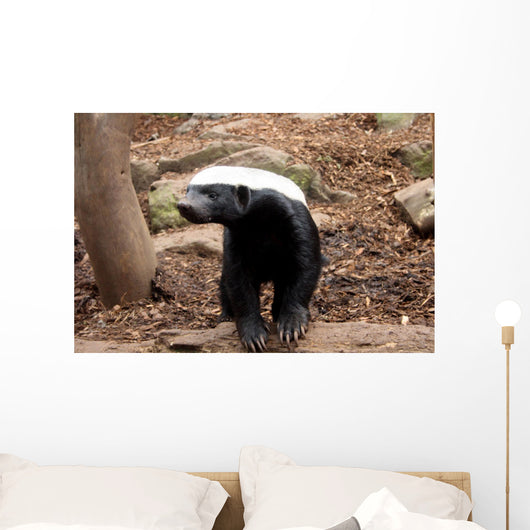 Honey Badger Wall Decal