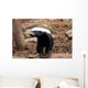 Honey Badger Wall Decal