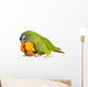 Conure Parrots Wall Decal