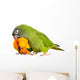 Conure Parrots Wall Decal