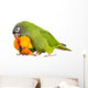 Conure Parrots Wall Decal