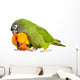 Conure Parrots Wall Decal