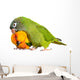 Conure Parrots Wall Decal
