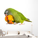 Conure Parrots Wall Decal