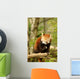 Red Panda 2 Wall Decal