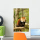 Red Panda 2 Wall Decal