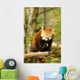 Red Panda 2 Wall Decal
