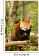 Red Panda 2 Wall Decal