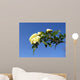 branch Wall Decal