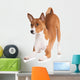 basenji dog bowing down Wall Decal