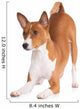 basenji dog bowing down Wall Decal