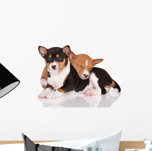 adorable basenji puppies cuddling Wall Decal