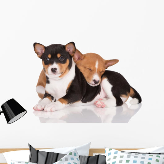 adorable basenji puppies cuddling Wall Decal