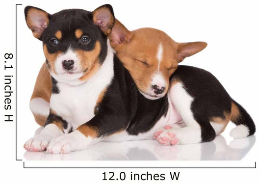adorable basenji puppies cuddling Wall Decal
