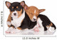 adorable basenji puppies cuddling Wall Decal