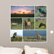 Savannah Safari Wall Decal