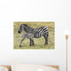 Zebras in Ngorongoro conservation area, Tanzania Wall Decal