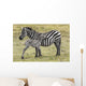 Zebras in Ngorongoro conservation area, Tanzania Wall Decal