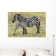 Zebras in Ngorongoro conservation area, Tanzania Wall Decal