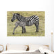 Zebras in Ngorongoro conservation area, Tanzania Wall Decal
