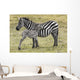 Zebras in Ngorongoro conservation area, Tanzania Wall Decal