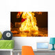 roasting teppanyaki Wall Decal