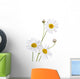 Beautiful Daisy White Wall Decal