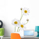 Beautiful Daisy White Wall Decal