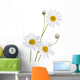 Beautiful Daisy White Wall Decal