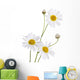 Beautiful Daisy White Wall Decal