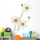 Beautiful Daisy White Wall Decal