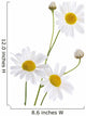 Beautiful Daisy White Wall Decal