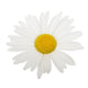 White daisy camomile flower on a white background Wall Decal