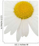White daisy camomile flower on a white background Wall Decal