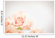 Peach rose cluster  with vignette Wall Decal
