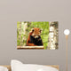 Red Panda Wall Decal