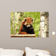 Red Panda Wall Decal