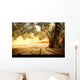 Wooden table with olive tree Wall Decal
