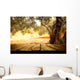 Wooden table with olive tree Wall Decal