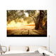Wooden table with olive tree Wall Decal