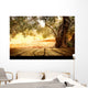Wooden table with olive tree Wall Decal