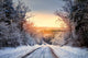 Winter road in forest Wall Decal
