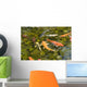 Koi Fish Wall Decal