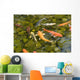 Koi Fish Wall Decal