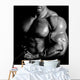 Bodybuilder posing Wall Decal