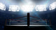 Boxing Ring In Arena Wall Decal