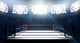 Boxing Ring In Arena Wall Decal