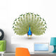 Peacock Wall Decal