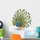 Peacock Wall Decal